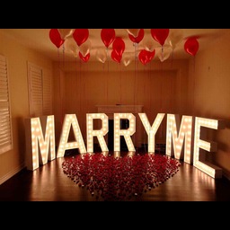 Marry Me Led (2.5 ft to 3 ft) rental