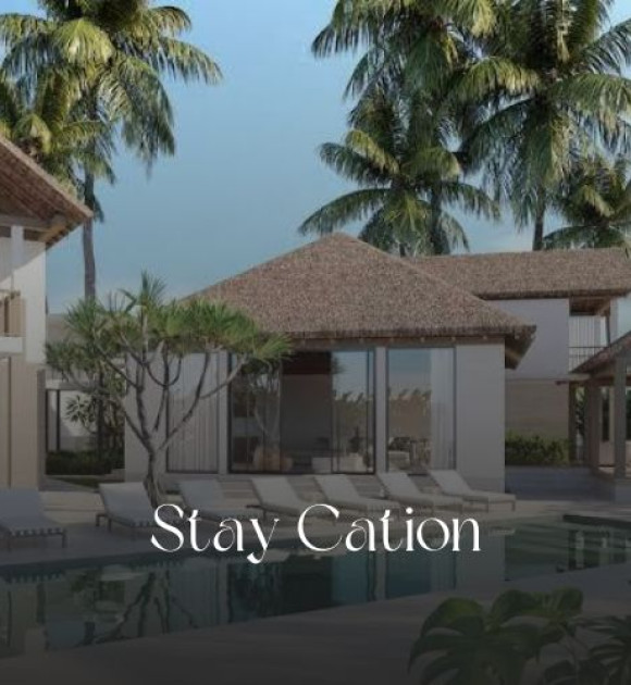 Stay Cation