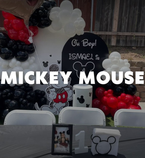 Mickey Mouse Decorations