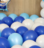 Blue & White Balloon Birthday Decoration at Home