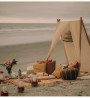 Beach Picnics In Goa With marry Me Neon Light Proposal Setup 