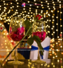 Private Rooftop Cabana Setup for Couple