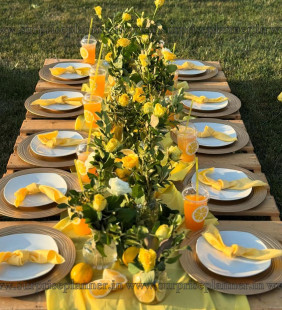 Enchanting Outdoor Bridal Shower Setup